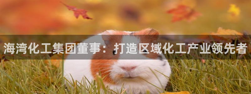 球盟会app网址多少号