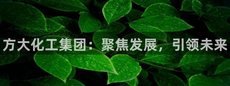 球盟会登录平台入口：方大化工集团：聚焦发展，引领未来