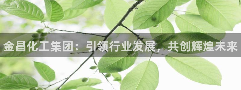 球盟会游戏：金昌化工集团：引领行业发展，共创辉煌未来