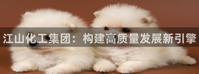球盟会app：江山化工集团：构建高质量发展新引擎