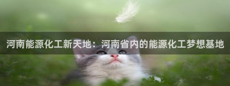 球盟会官方网址入口：河南能源化工新天地：河南省内的能源化工梦