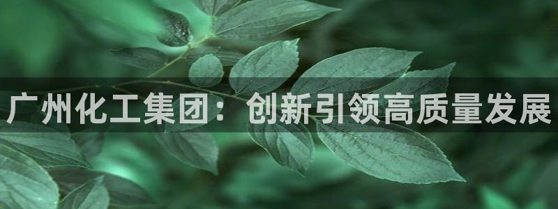 球盟会出款黑了：广州化工集团：创新引领高质量发展