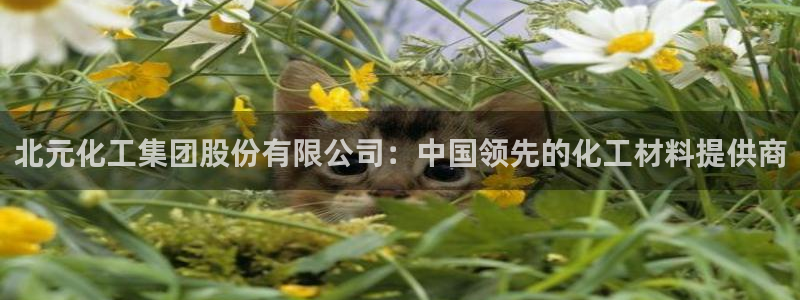 球盟会黑台子吗：北元化工集团股份有限公司：中国领先的化工材料