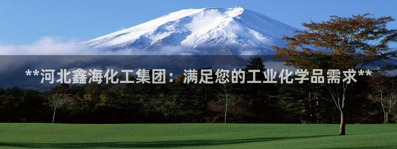 球盟会app手机登录：**河北鑫海化工集团：满足您的工业化学