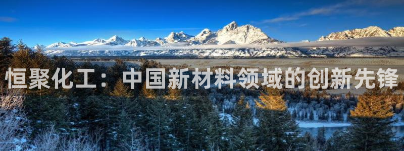 球盟会官方最新入口：恒聚化工：中国新材料领域的创新先锋