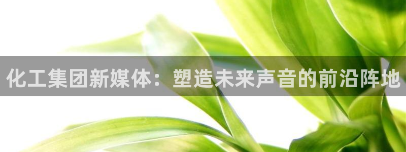 球盟会类似的网站：化工集团新媒体：塑造未来声音的前沿阵地