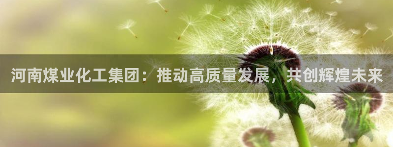 球盟会官方平台入口：河南煤业化工集团：推动高质量发展，共创辉