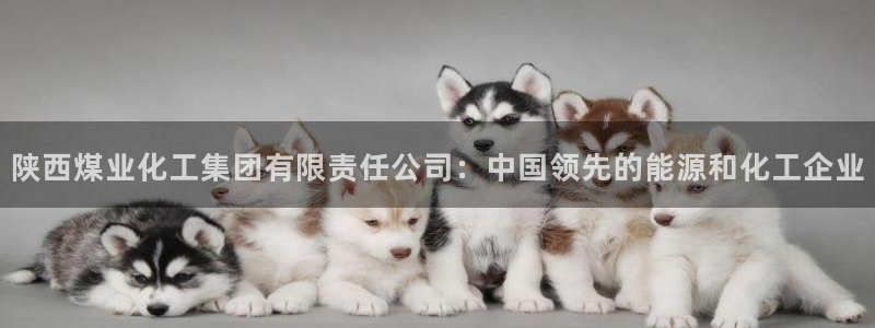 球盟会app最新地址在哪找：陕西煤业化工集团有限责任公司：中