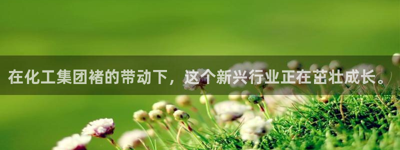 球盟会最新活动：在化工集团褚的带动下，这个新兴行业正在茁壮成