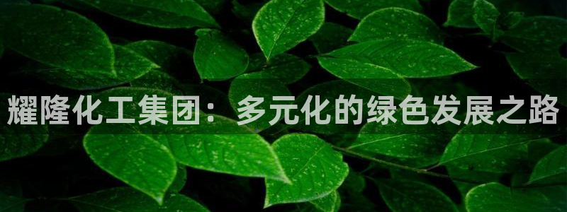球盟会和中欧会的区别：耀隆化工集团：多元化的绿色发展之路