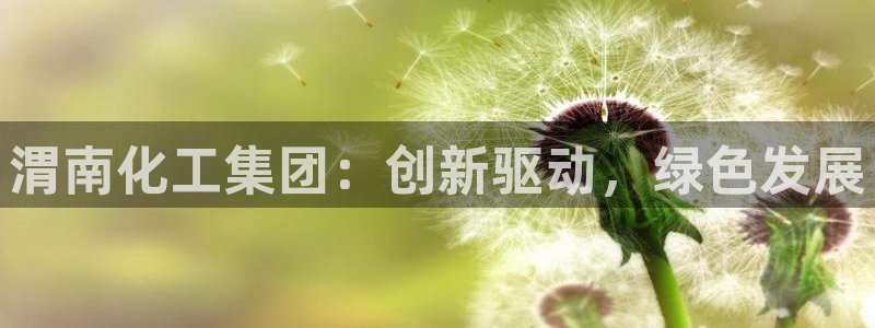 球盟会进不去吗：渭南化工集团：创新驱动，绿色发展