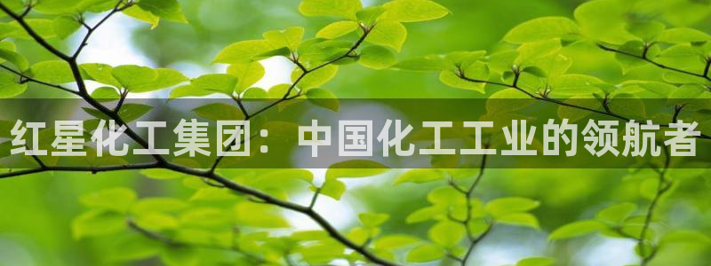 球盟会官方网站app：红星化工集团：中国化工工业的领航者