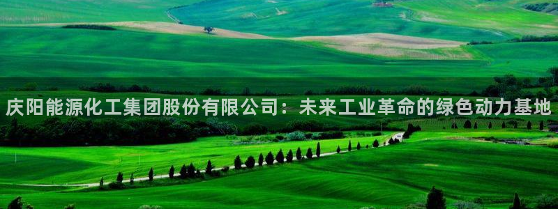 球盟会优惠领取网站：庆阳能源化工集团股份有限公司：未来工业革