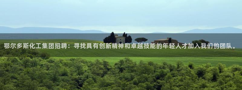 球盟会黑款吗知乎文章：鄂尔多斯化工集团招聘：寻找具有创新精神