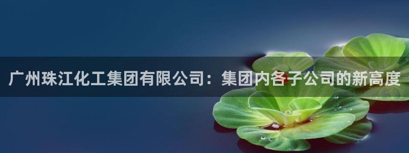 球盟会邮箱：广州珠江化工集团有限公司：集团内各子公司的新高度