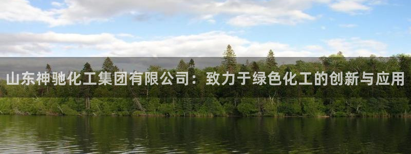 球盟会官方网站是什么：山东神驰化工集团有限公司：致力于绿色化