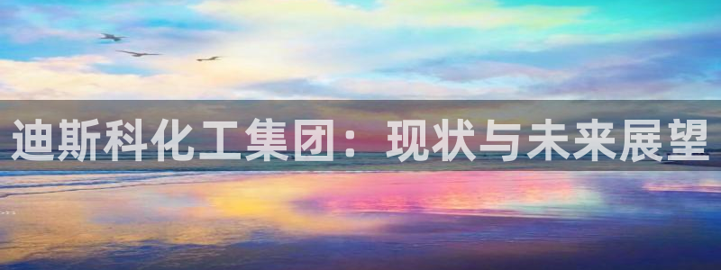 球盟会邮箱：迪斯科化工集团：现状与未来展望