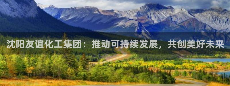 球盟会官方入口：沈阳友谊化工集团：推动可持续发展，共创美好未