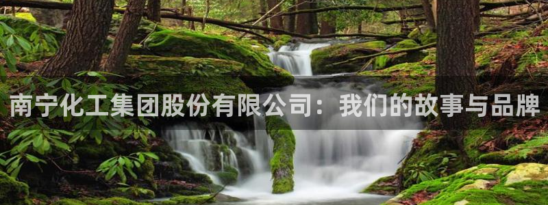 球盟会官方登录平台：南宁化工集团股份有限公司：我们的故事与品