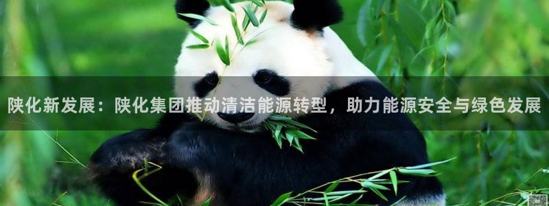 千亿球盟会乐玩：陕化新发展：陕化集团推动清洁能源转型，助力能
