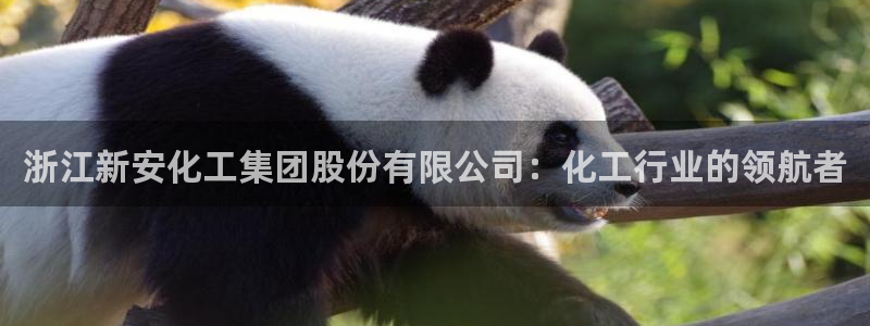 球盟会国际官网