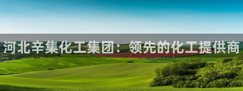 球盟会娱乐平台：河北辛集化工集团：领先的化工提供商
