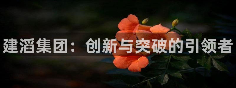 球盟会黑款吗是真的吗：建滔集团：创新与突