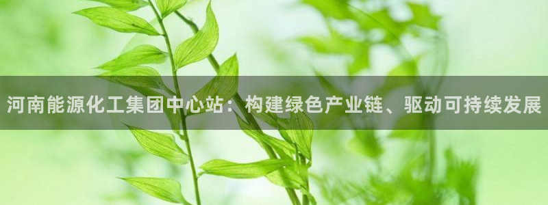 球盟会唯一：河南能源化工集团中心站：构建