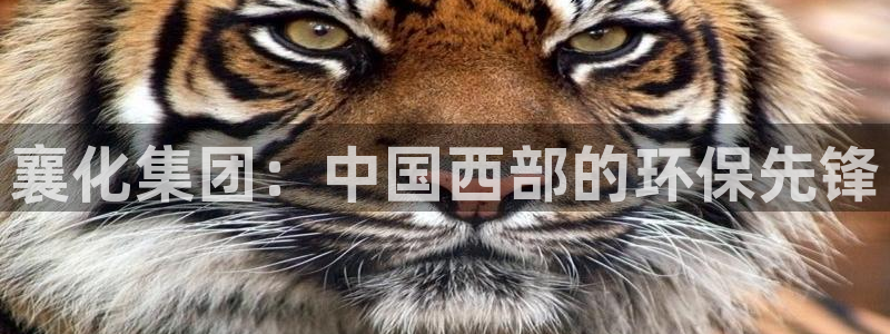 千亿球盟会乐玩：襄化集团：中国西部的环保