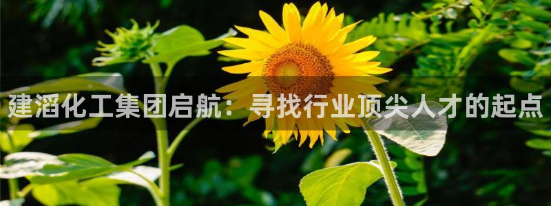 球盟会app安装：建滔化工集团启航：寻找