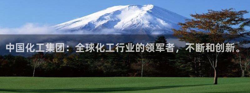 球盟会黑台：中国化工集团：全球化工行业的