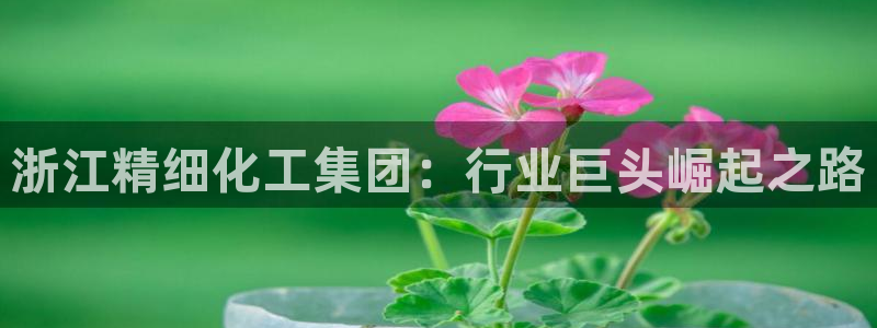 球盟会出款黑了