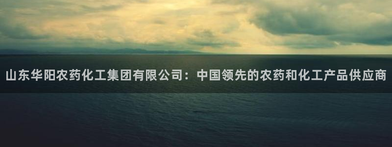 球盟会在线登录官网：山东华阳农药化工集团