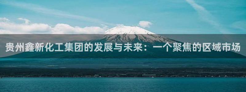 球盟会官方客服：贵州鑫新化工集团的发展与
